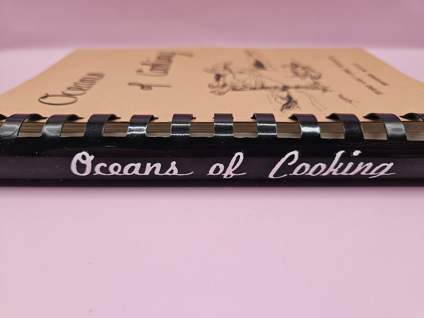Oceans of Cooking – Texas Gulf Coast Seafood Recipes (227 Pages)