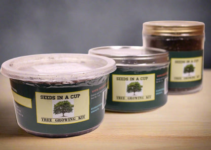 Blackberry | Shrub Seed Starter Grow Kit | Seeds In A Cup®