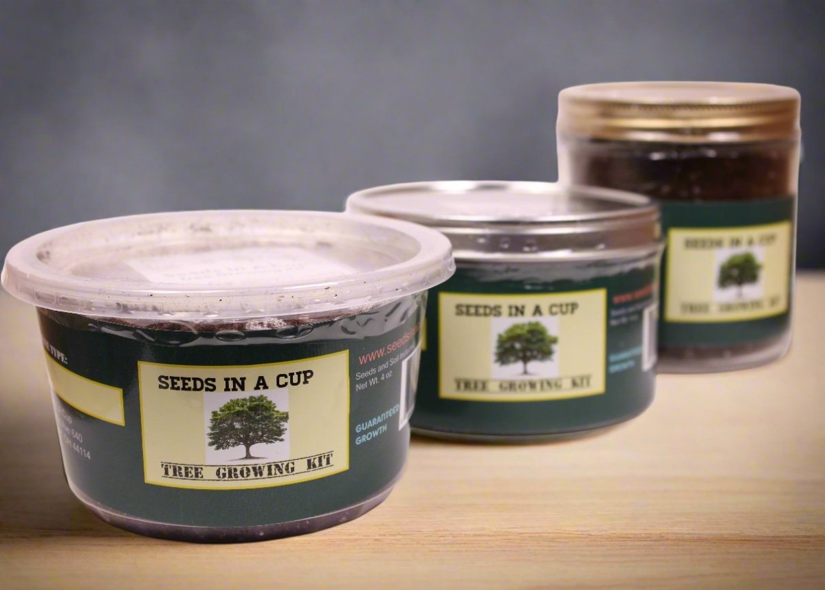 Apricot Tree  |  Seed Starter Grow Kit  |  Seeds In A Cup®