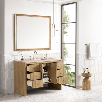 Hudson 48" Single Vanity Cabinet