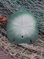 Painted Arrowhead Sand Dollar