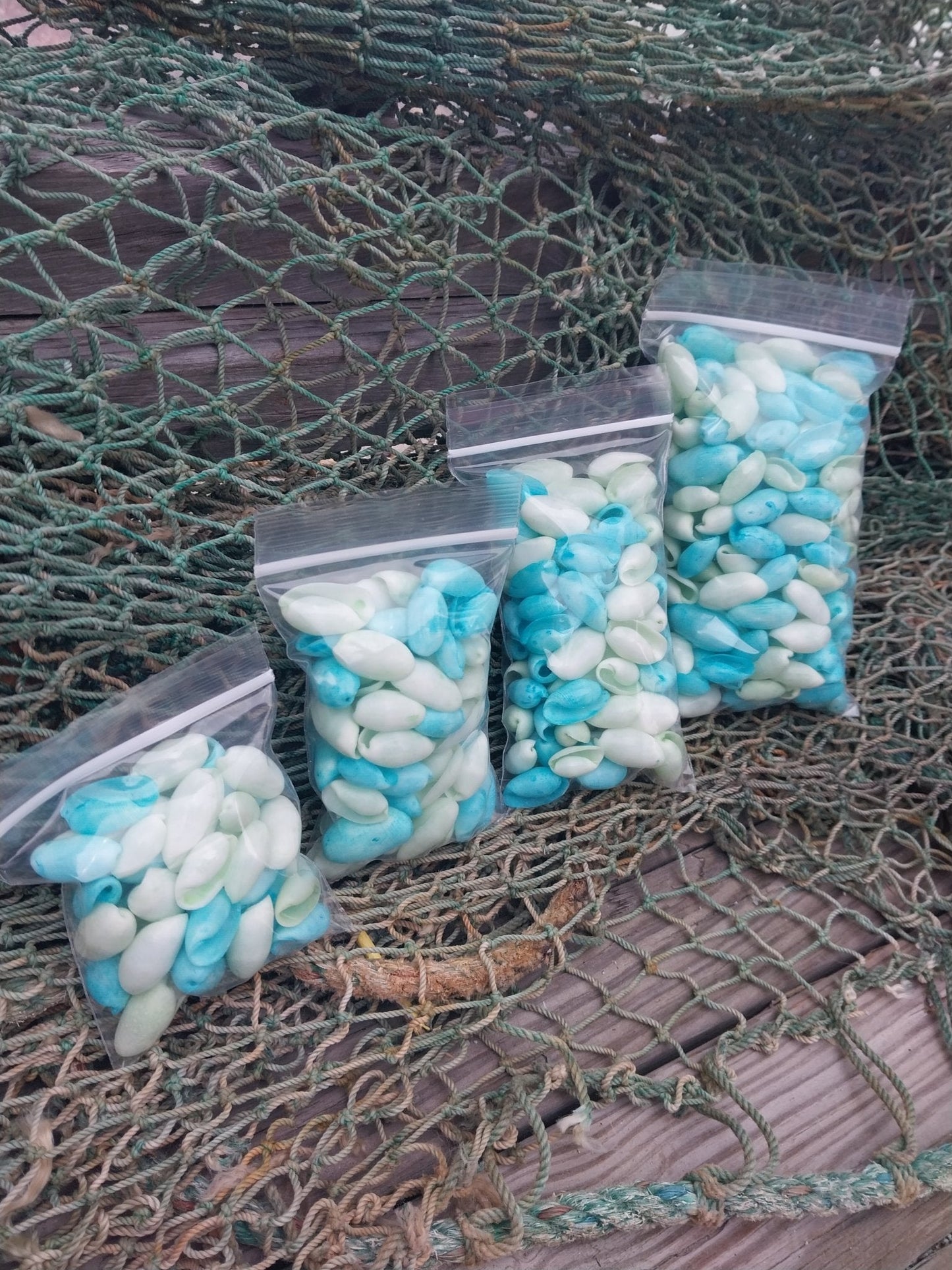 Bulk Pastel Dyed Bubble Shells – 3 oz Bag (80 Pieces) Craft & DIY Supplies