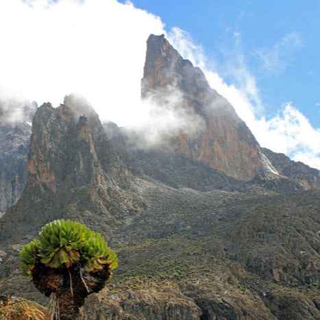 Lenana