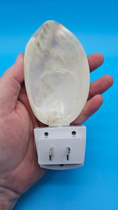 Pearl White Clam Shell LED Night Light – Premium Coastal Décor Accent