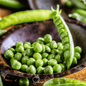 Early Frosty Peas – 25 Seeds