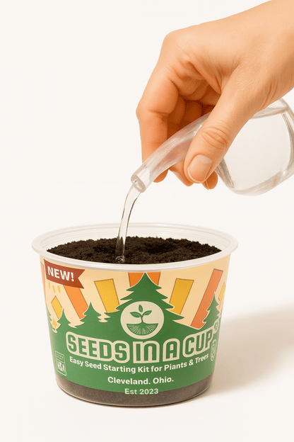 Cauliflower | Plant Seed Starter Grow Kit | Seeds In A Cup®
