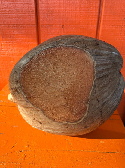 Pelican Coconut Bowl
