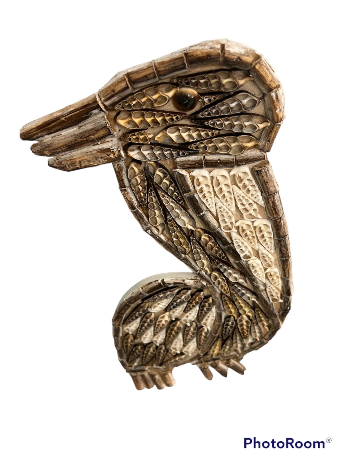 Pelican Shell Wall Art