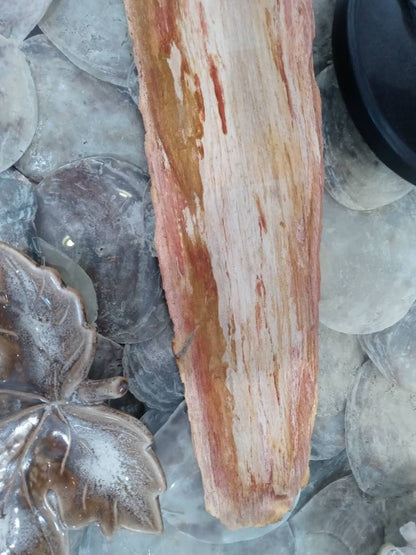 Petrified Wood Slice Charcuterie Cheese Board