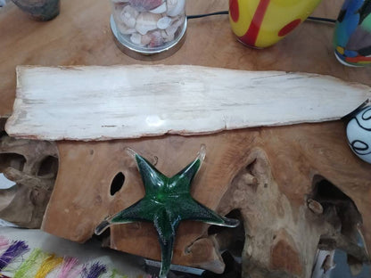 Petrified Wood Slice Charcuterie Cheese Board