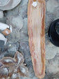 Petrified Wood Slice Charcuterie Cheese Board