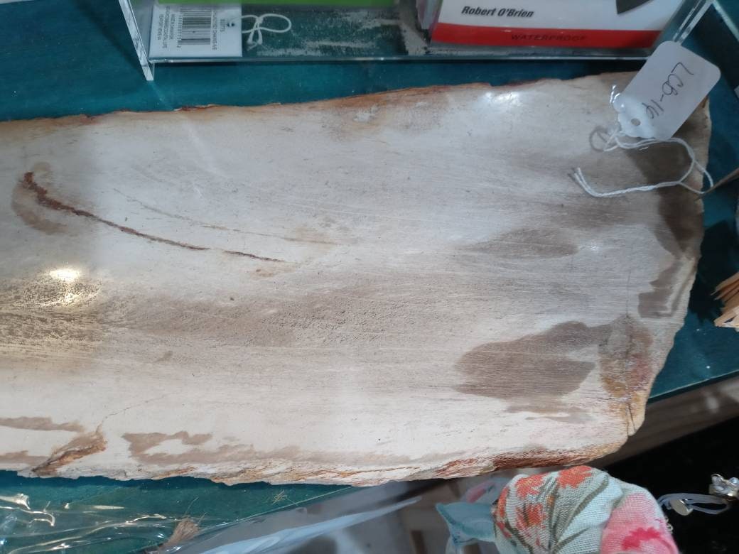 Petrified Wood Slice Charcuterie Cheese Board