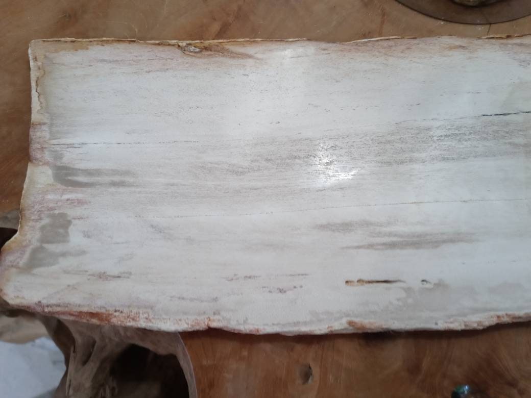 Petrified Wood Slice Charcuterie Cheese Board