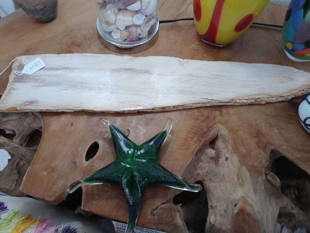 Petrified Wood Slice Charcuterie Cheese Board