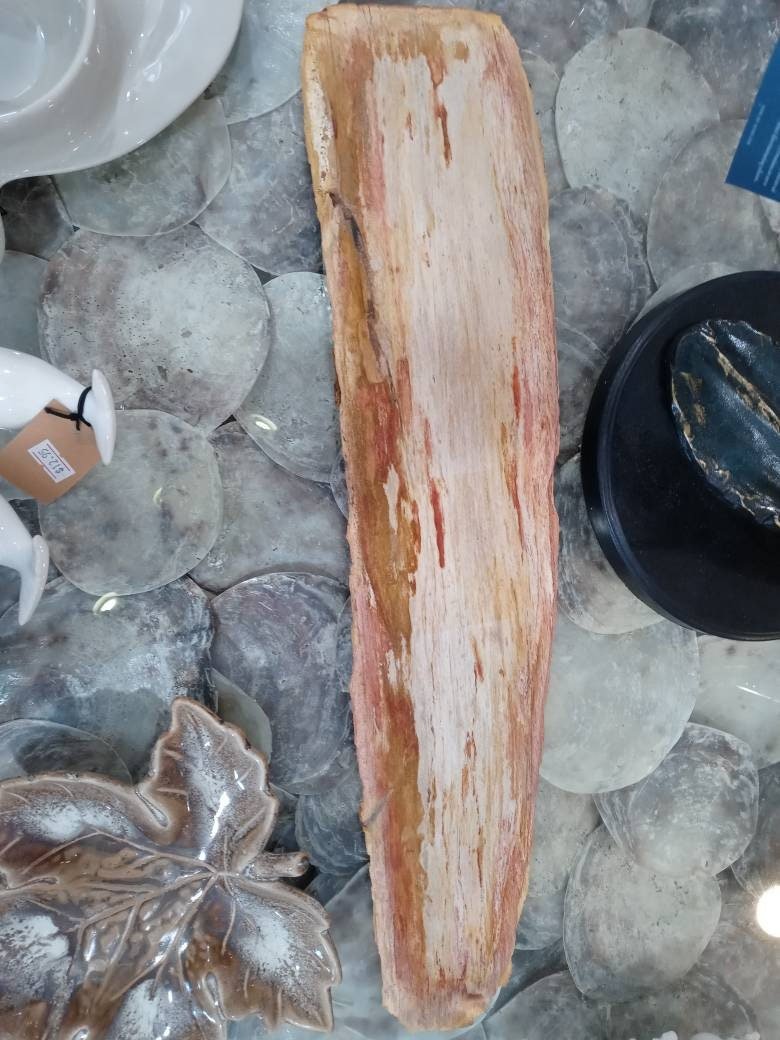 Petrified Wood Slice Charcuterie Cheese Board