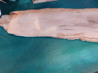 Petrified Wood Slice Charcuterie Cheese Board