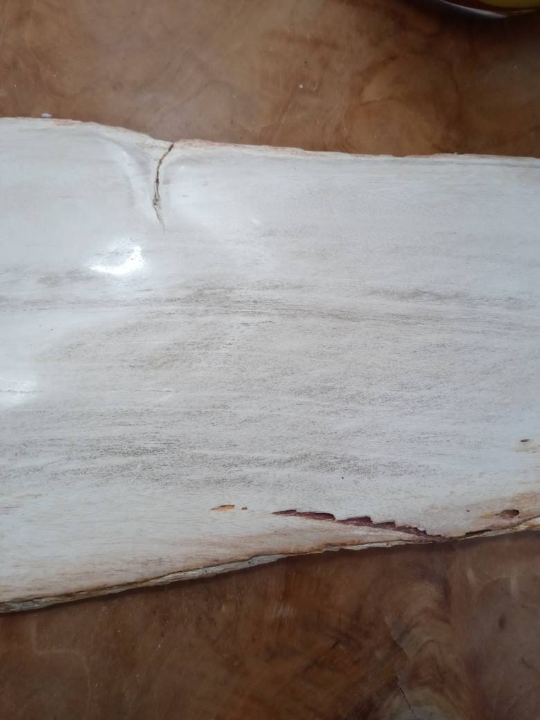 Petrified Wood Slice Charcuterie Cheese Board