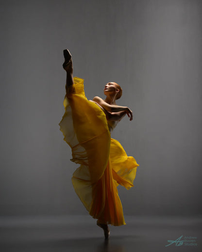 Photoshoot Flying Skirt / Double Circle Skirt / Ballet Pull On Maxi Skirt