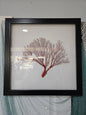 Pink Sea Fan Shadow Box - 20"x20" Coastal Wall Art