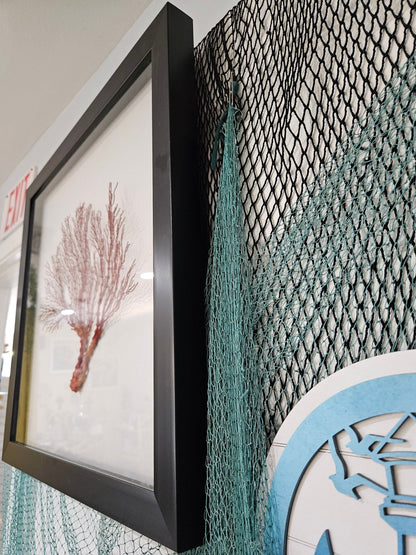 Pink Sea Fan Shadow Box - 20"x20" Coastal Wall Art
