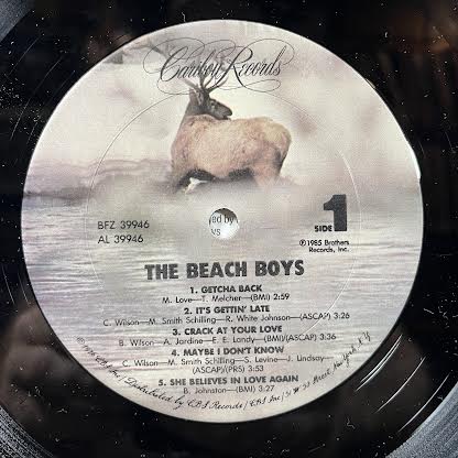 The Beach Boys (VINYL) | Near Mint (NM or M-) Near Mint (NM or M-)