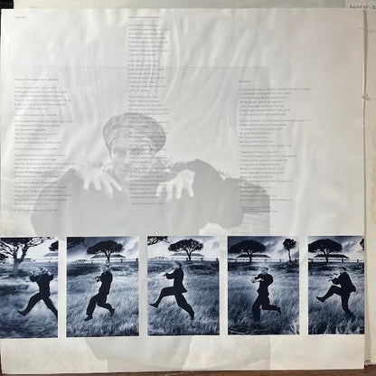 The Dream Of The Blue Turtles (VINYL) | Near Mint (NM or M-) Excellent (EX)