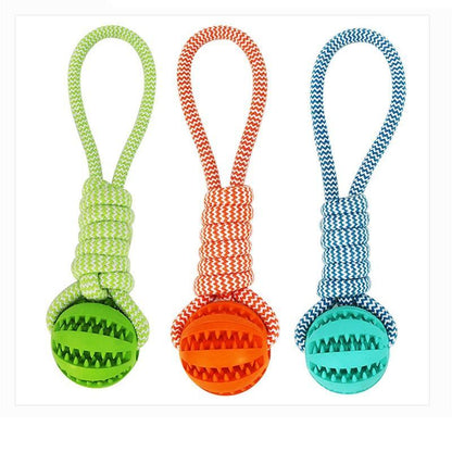 Durable Rubber Ball Chew Toy with Cotton Rope | Family Pet | Kitchen + Metal