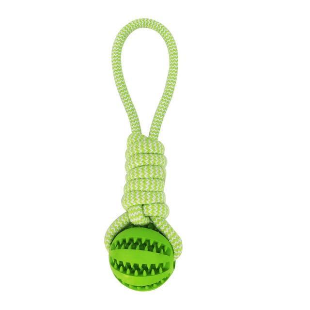 Durable Rubber Ball Chew Toy with Cotton Rope | Family Pet | Kitchen + Metal