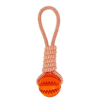 Durable Rubber Ball Chew Toy with Cotton Rope | Family Pet | Kitchen + Metal