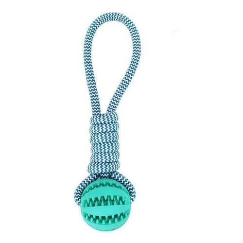 Durable Rubber Ball Chew Toy with Cotton Rope | Family Pet | Kitchen + Metal