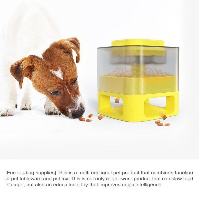 Dog Cat Feeding Bowls Dog Water Dispenser Eat Slow Dog Bowl Slow | Family Pet | Under $100 | Kitchen + Metal