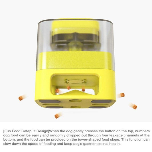 Dog Cat Feeding Bowls Dog Water Dispenser Eat Slow Dog Bowl Slow | Family Pet | Under $100 | Kitchen + Metal