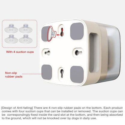 Dog Cat Feeding Bowls Dog Water Dispenser Eat Slow Dog Bowl Slow | Family Pet | Under $100 | Kitchen + Metal