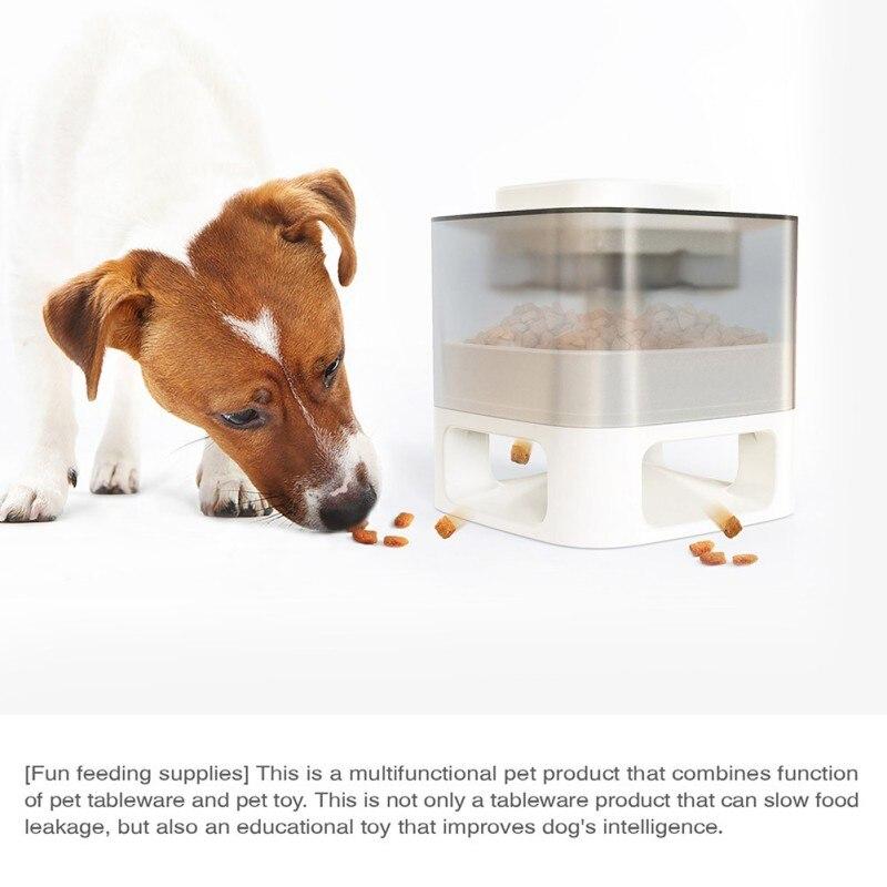 Dog Cat Feeding Bowls Dog Water Dispenser Eat Slow Dog Bowl Slow | Family Pet | Under $100 | Kitchen + Metal