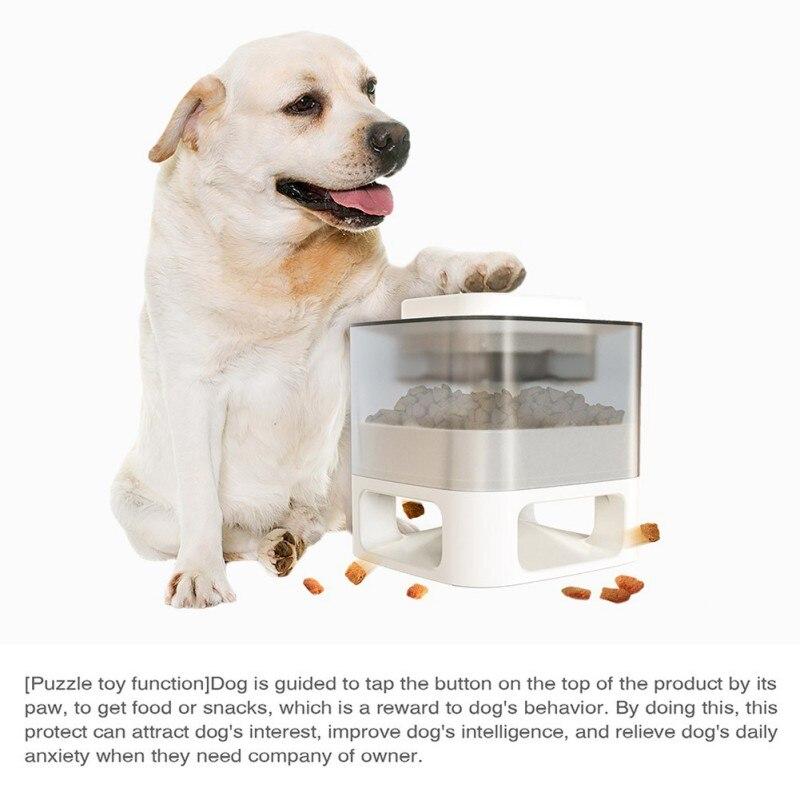 Dog Cat Feeding Bowls Dog Water Dispenser Eat Slow Dog Bowl Slow | Family Pet | Under $100 | Kitchen + Metal