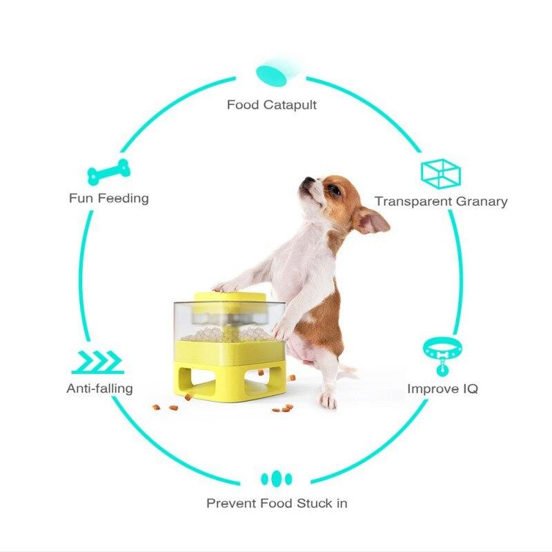 Dog Cat Feeding Bowls Dog Water Dispenser Eat Slow Dog Bowl Slow | Family Pet | Under $100 | Kitchen + Metal
