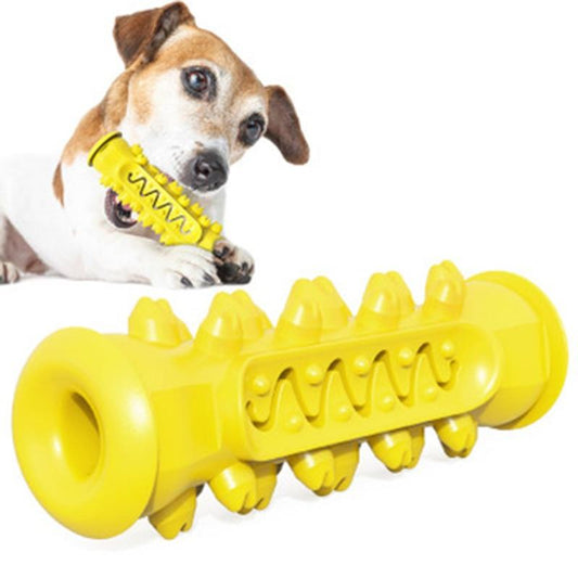 Chewing Toy for Dogs | Family Pet | Kitchen + Metal