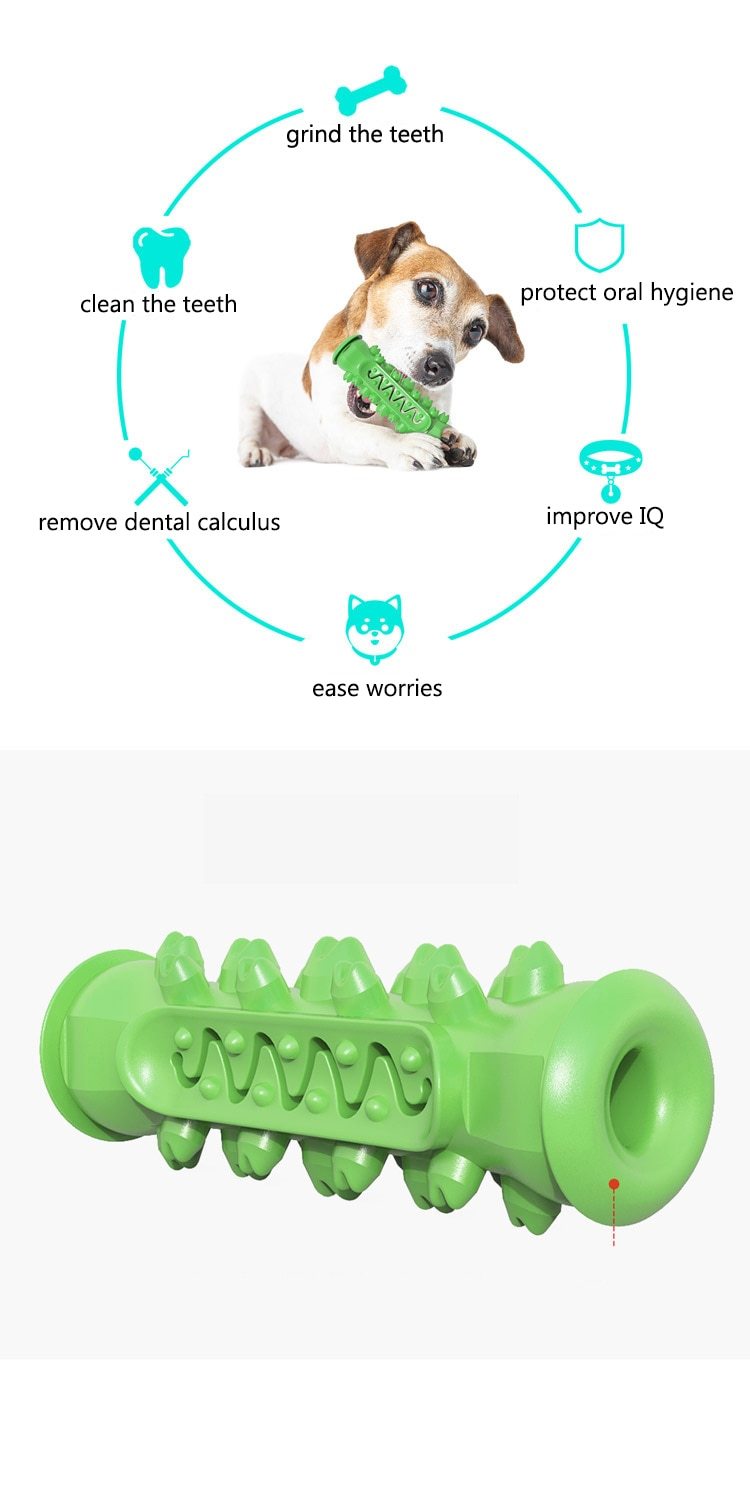 Chewing Toy for Dogs | Family Pet | Kitchen + Metal