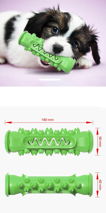 Chewing Toy for Dogs | Family Pet | Kitchen + Metal
