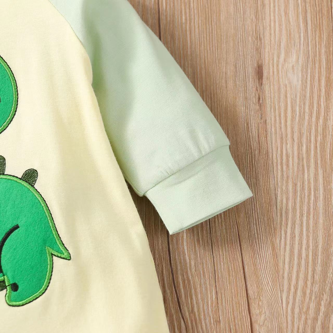 Baby Boy Cartoon Dinosaur Embroidered Pattern Contrast Design Side