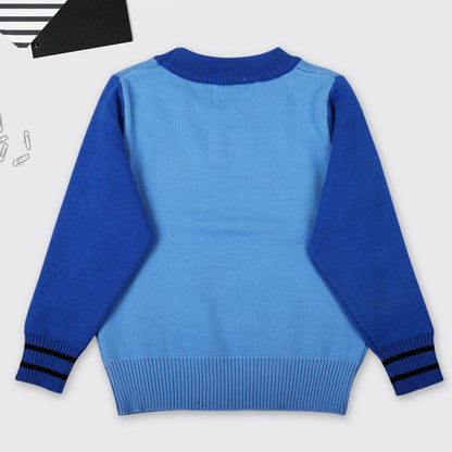 Baby Boy Cartoon Dinosaur Graphic ColorBlock Sleeves Design Fashion