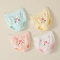 Baby Girl Embroidered Pattern Lace Design Panties 1 Bag=4 Pieces