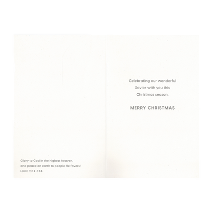 Tony Evans - Christ is the Meaning - 18 Cards