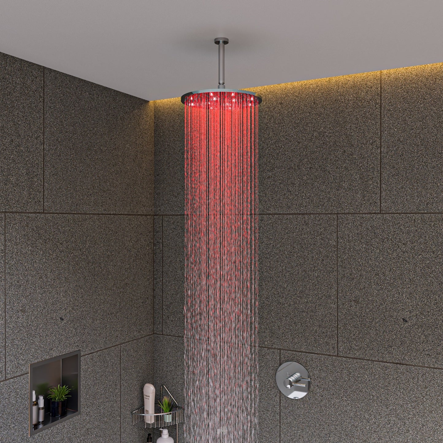 ALFI brand LED12R 12" Round Multi Color LED Rain Shower Head