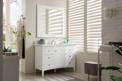 Palisades 48" Single Vanity Cabinet, Bright  White