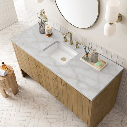Hudson 60" Single Vanity Cabinet