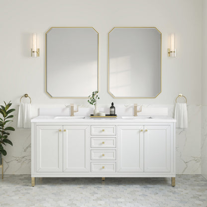 Chicago 72" Double Vanity Cabinet