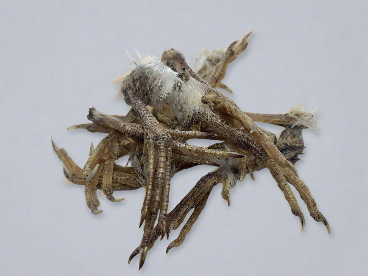 Quail feet Dog Training aid & Treat
