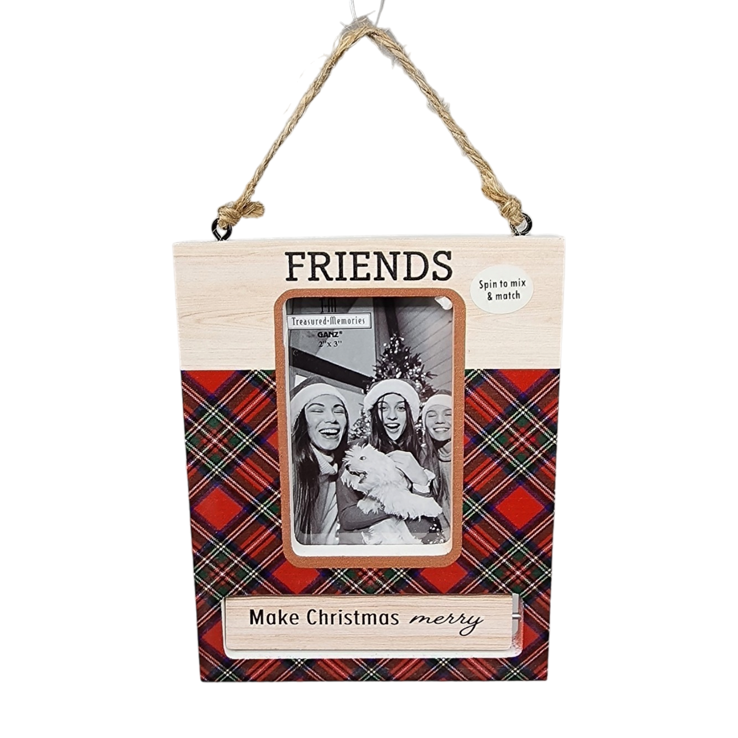 Spinning Frame Ornament - Friends