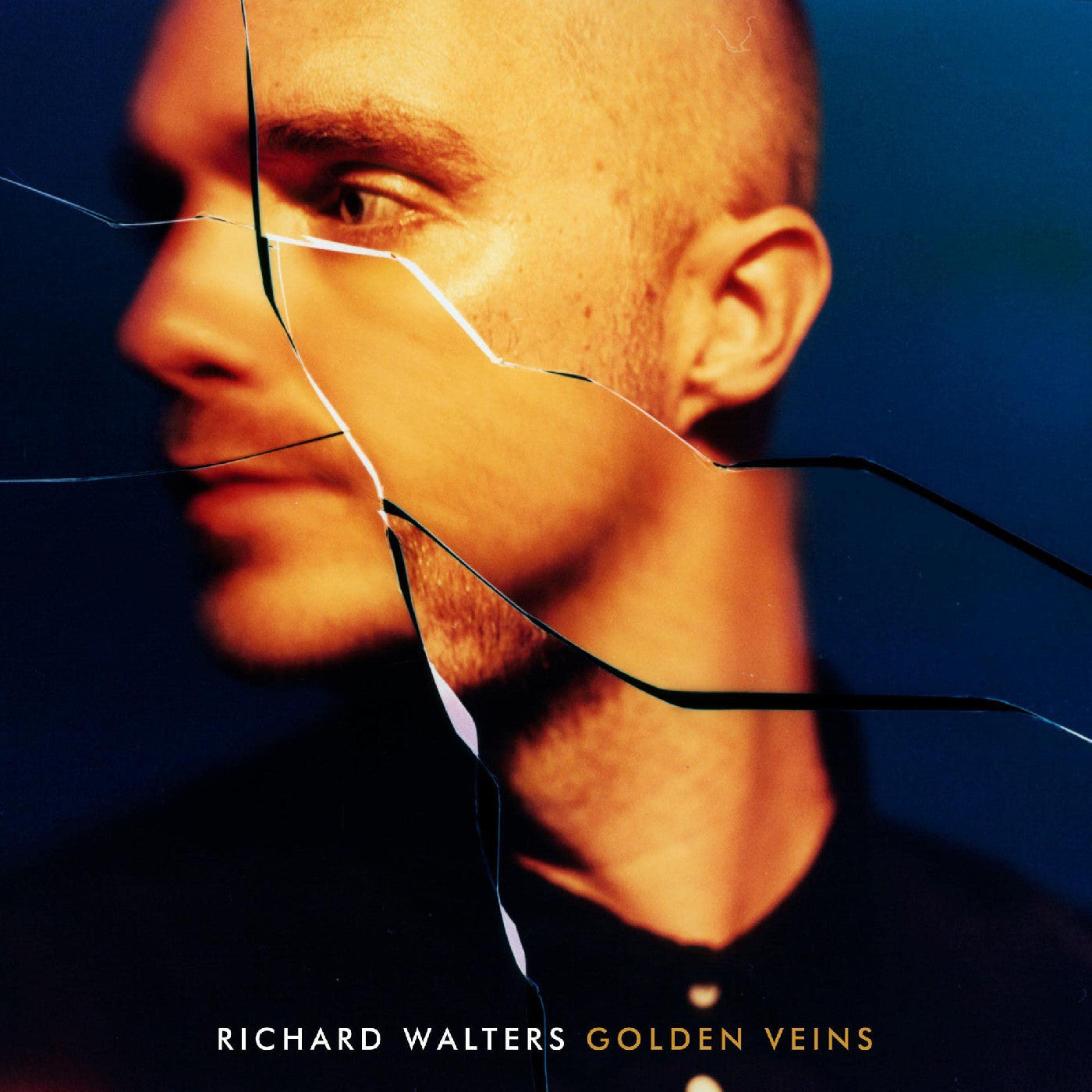 Golden Veins (CD)